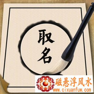 属虎宝宝取名