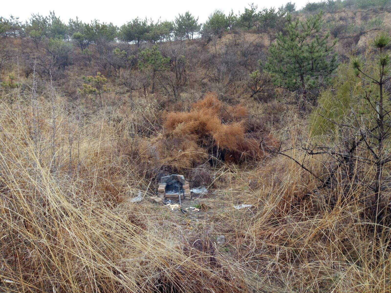 坟地的风水是什么