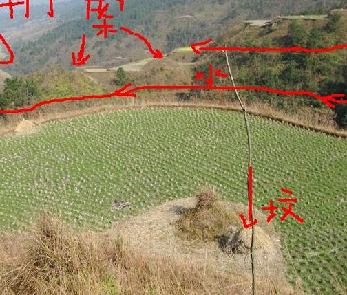 风水先生怎么看坟地风水