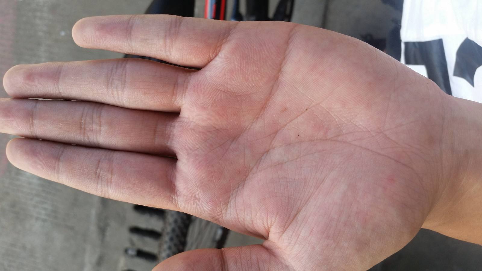 ���������ߣ�����������ͼ���ȫ��