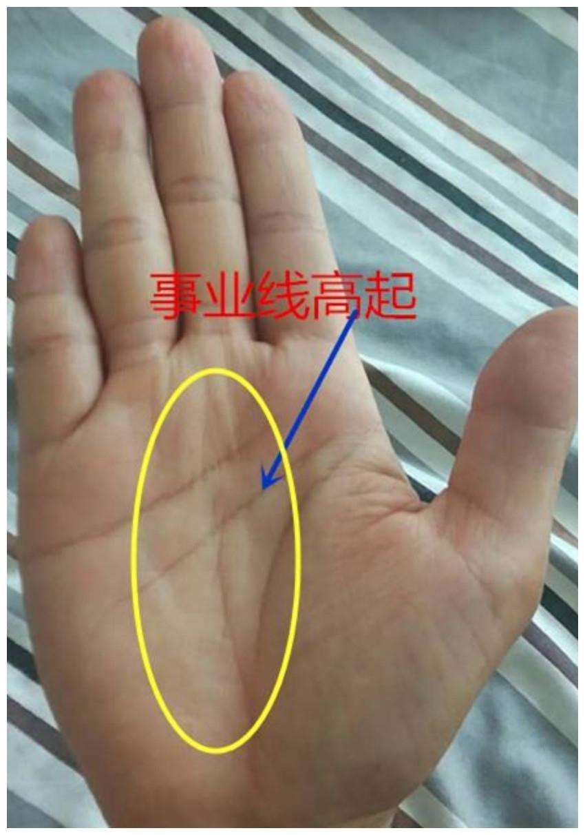 ������ҵ��(������ҵ��ͼ���ȫ)