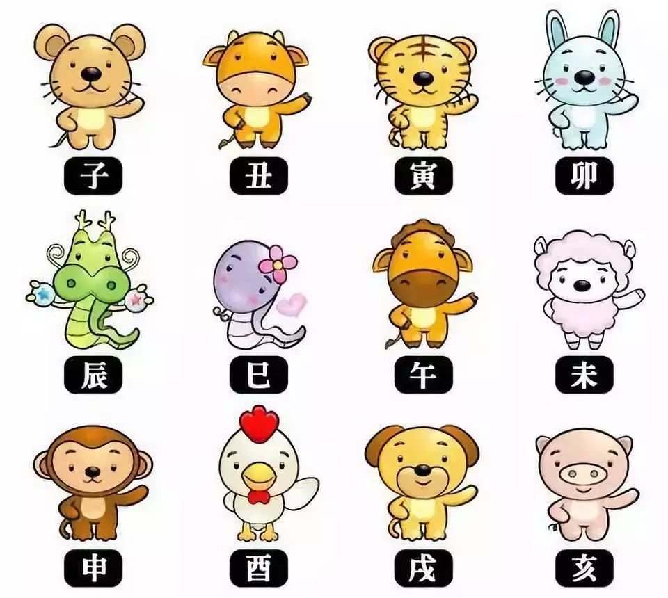生肖表十二顺序(十二生肖排序)