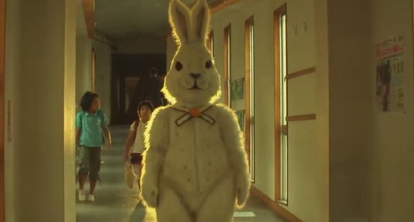 10ֻ���ӿֲ���Ƭ