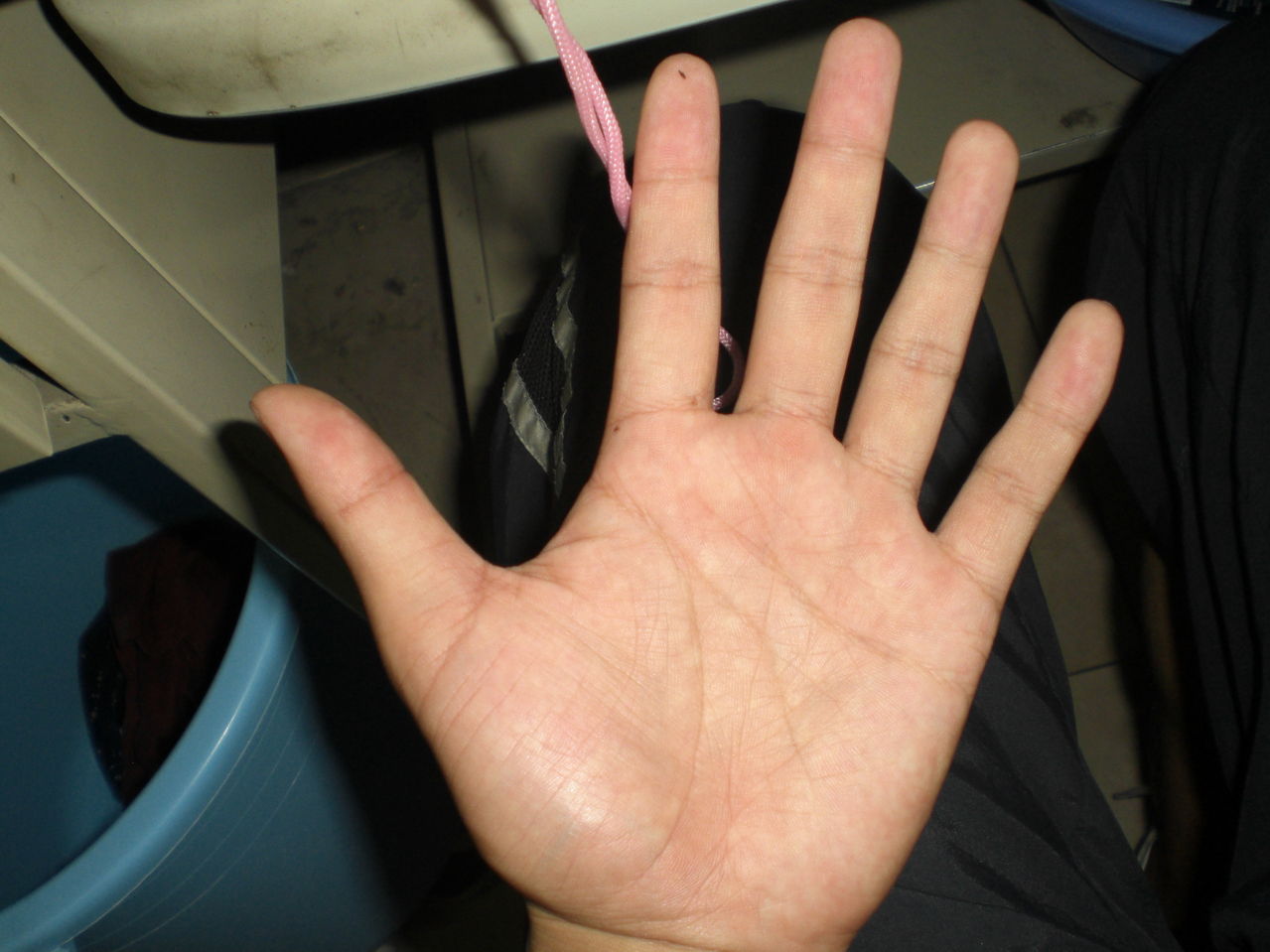 ����������