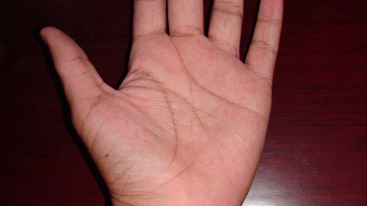 ���ĵ�������ʲô����