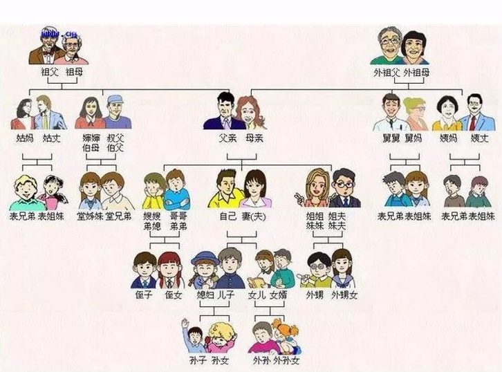 辈分称呼大全图