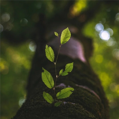 ͷ��ͼƬ2023�����Ѹ���ÿ�