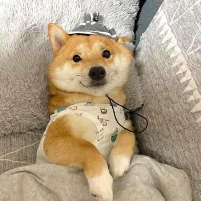 �����вƿɰ������Ȯͷ���ȫ