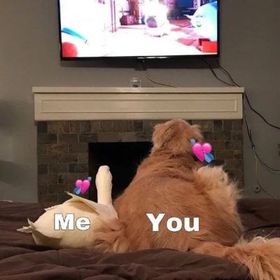 �����вƿɰ������Ȯͷ���ȫ