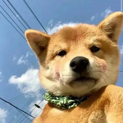 �����вƿɰ������Ȯͷ���ȫ