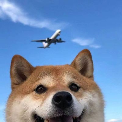 �����вƿɰ������Ȯͷ���ȫ