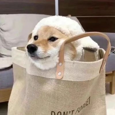 �����вƿɰ������Ȯͷ���ȫ