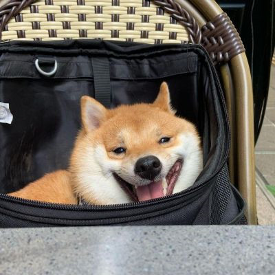 �����вƿɰ������Ȯͷ���ȫ