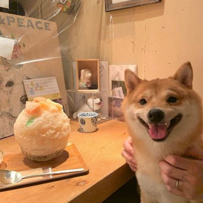 �����вƿɰ������Ȯͷ���ȫ