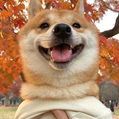 �����вƿɰ������Ȯͷ���ȫ