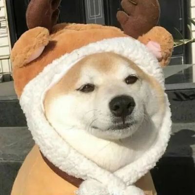 �����вƿɰ������Ȯͷ���ȫ