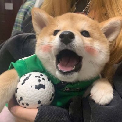 �����вƿɰ������Ȯͷ���ȫ