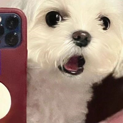 �����вƿɰ������Ȯͷ���ȫ