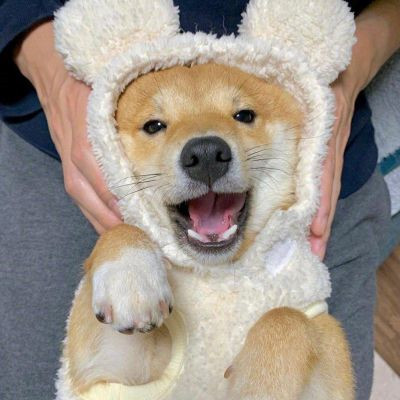 �����вƿɰ������Ȯͷ���ȫ