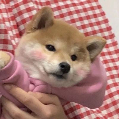 �����вƿɰ������Ȯͷ���ȫ