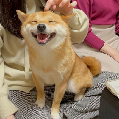 �����вƿɰ������Ȯͷ���ȫ