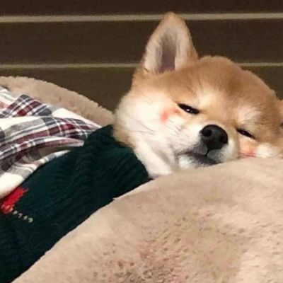 �����вƿɰ������Ȯͷ���ȫ