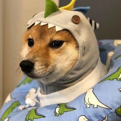 �����вƿɰ������Ȯͷ���ȫ