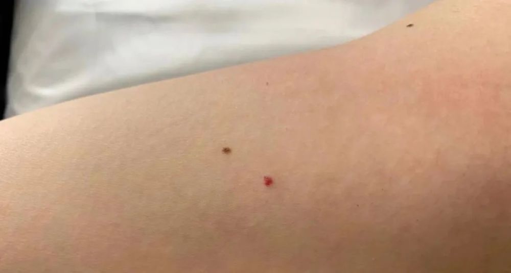 ��ɰ�볤������