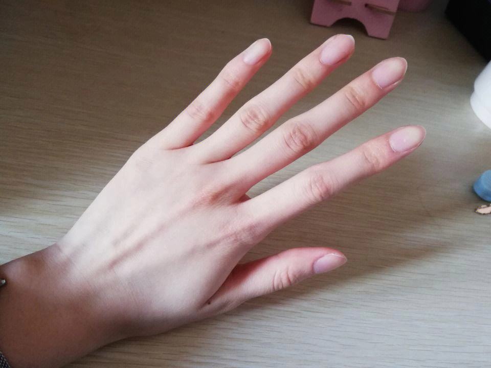 ��ָ������:�ֳ����˵��������