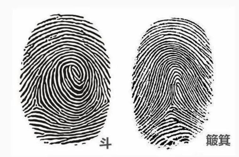 ʮ������:ָ�Ʋ���10����������