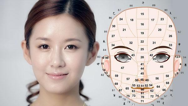面相图解:面相十二宫图图解