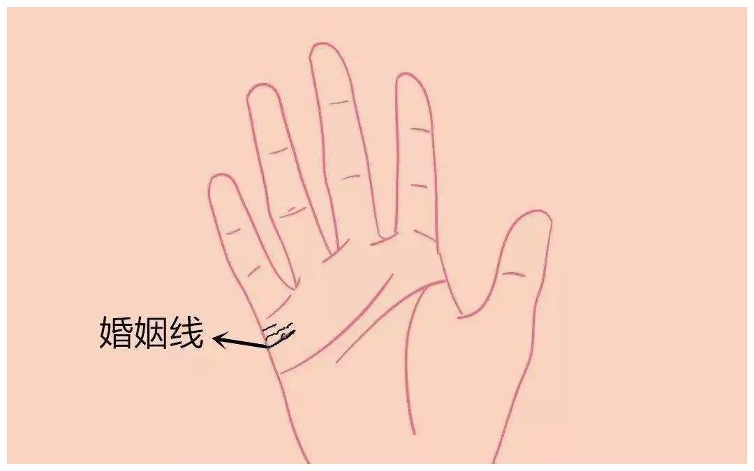 婚姻线分叉:婚姻线分叉是什么意思