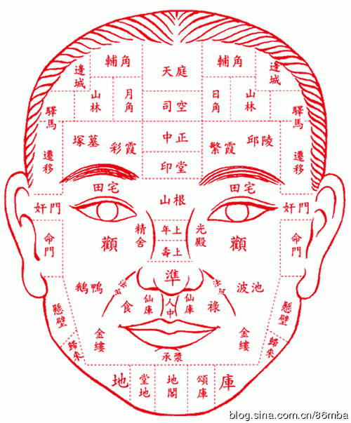 怎么知道自己的面相好不好 怎样看人的面相