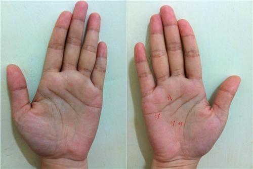 手纹看相算命:掌纹的秘密全图解