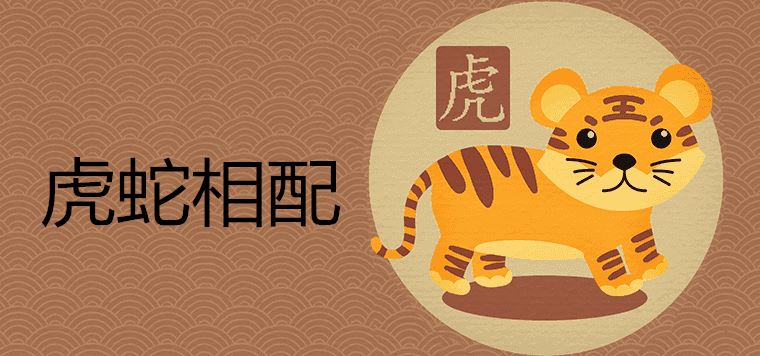 女大三岁女属虎男属蛇 女大三岁女属虎男属蛇结婚会怎么样
