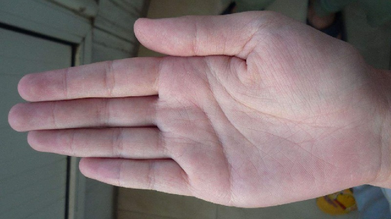 �������ǮŮ����