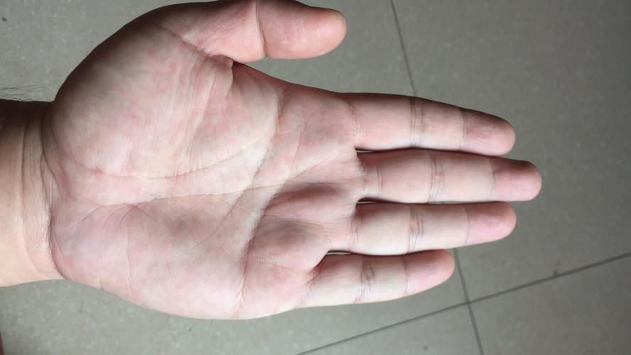 发特大巨大横财手纹