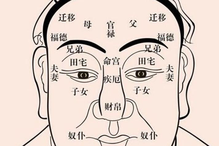 面相学中分析五官的算命图