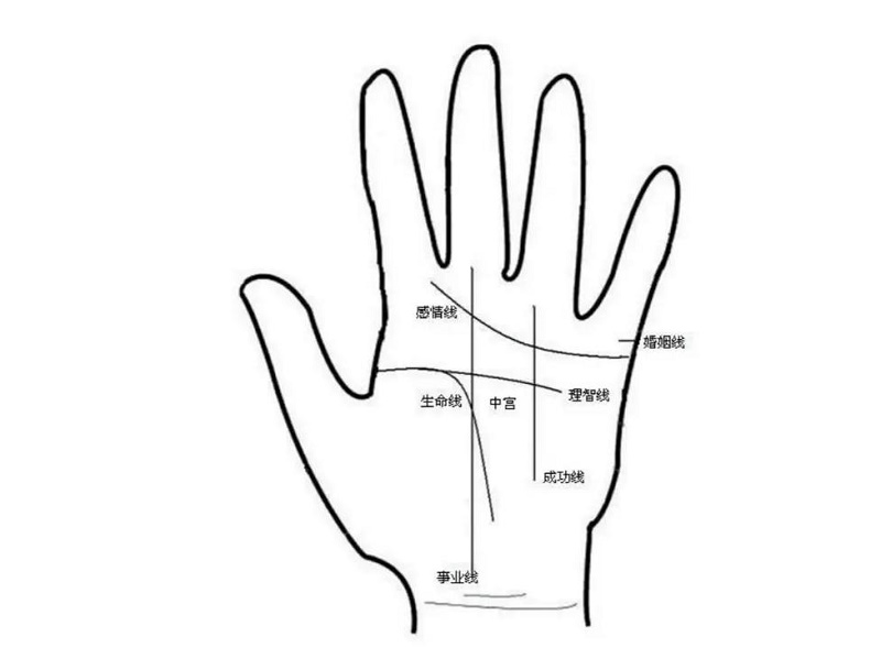 手相算命图解如何看手相算命图解