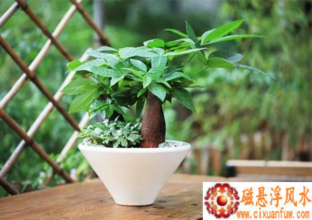 赵忠祥电话录音赵忠祥动物世界经典配音 赵忠祥电话录音赵忠祥动物世界经典配音