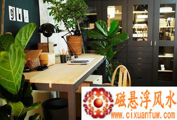 遇亥猪男女 缘分天注定 夫妻八字竟然都遇亥 种配对能否长久 遇亥猪男女 缘分天注定 夫妻八字竟然都遇亥 种配对能否长久