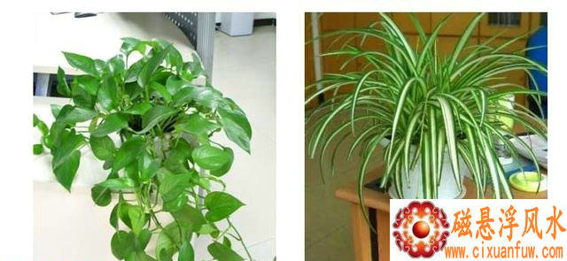 1973�쳽�����������к����� ����������;