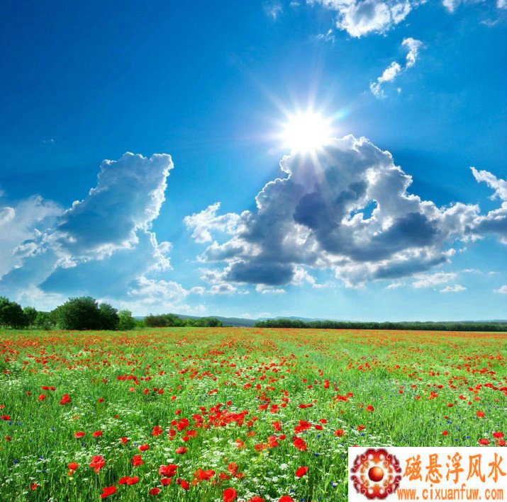 ���������ȼ�� ���Ƹߵ�˭��֪ 