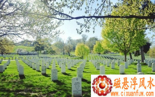 1971��Ф����������Ӱ���罻��Ļ����Ƶ��(1971��Ф���������ƻ�Ӱ���罻�Ƶ��)