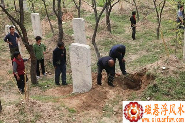 ��Фţ��2025��������ʢ����ǰ����Ф����Ԥ��