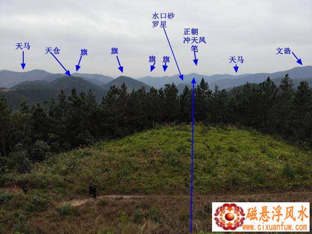 2025�����к�����Ӱ��δ��������Ƶ�����(2025�����к������ڸ���ʧ���и����Ӵ�������Ӱ��)