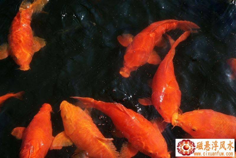 Ů������ѻ��������ں����Ӱ������Ҹ����г