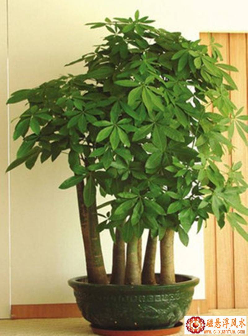 �ִ�ס����ˮ�ھ�