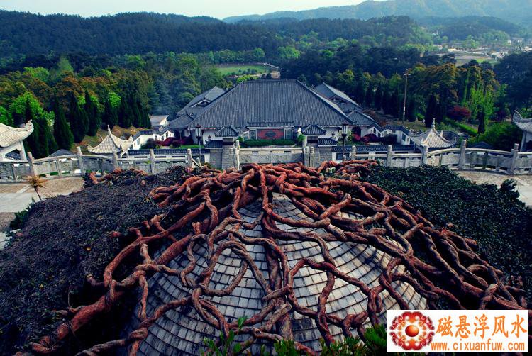 �칫�ҵ��вƷ�ˮ����