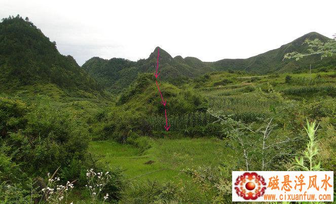 ��������Ů���ò��� Ů��������ο���ҵ��չ